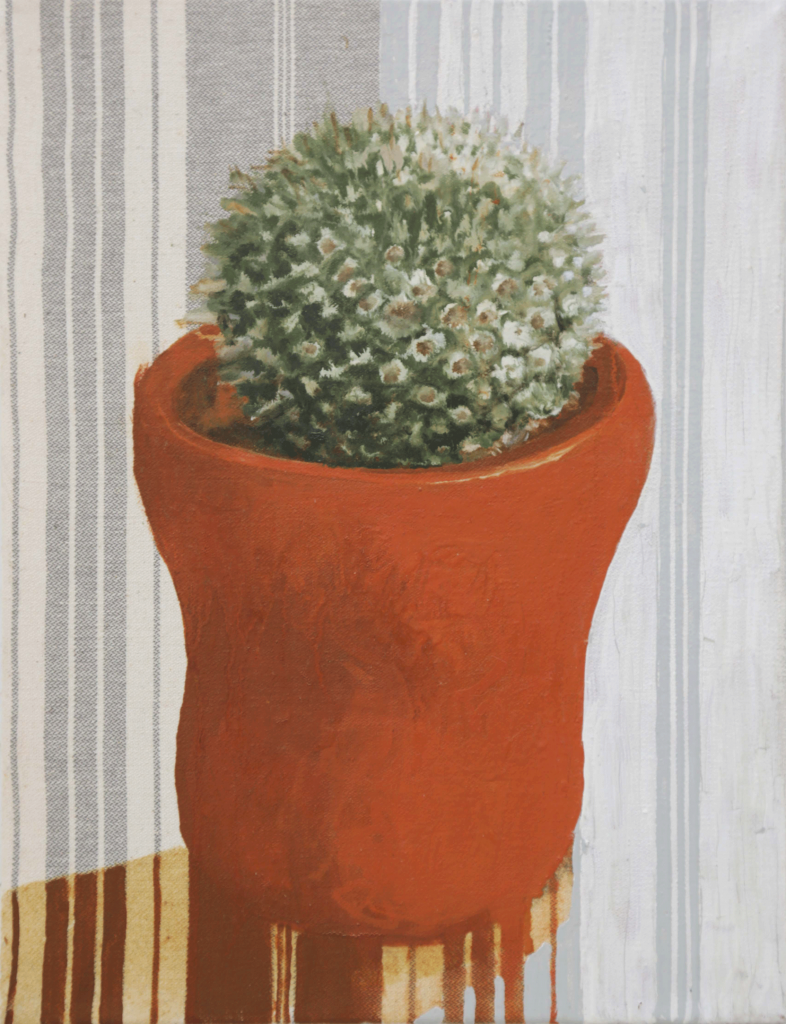 Cactus 2007 32x27cm Huile sur toile