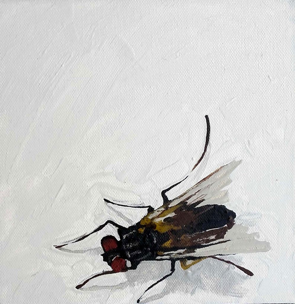 Peinture à l'huile de Peggy Fraquet représentant 1 mouches sur fond blanc.