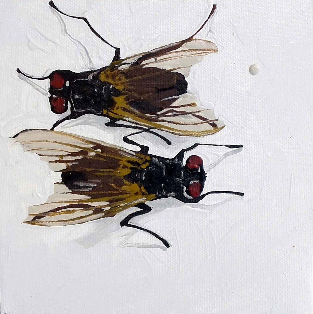 Peinture à l'huile de Peggy Fraquet représentant 2 mouches sur fond blanc.