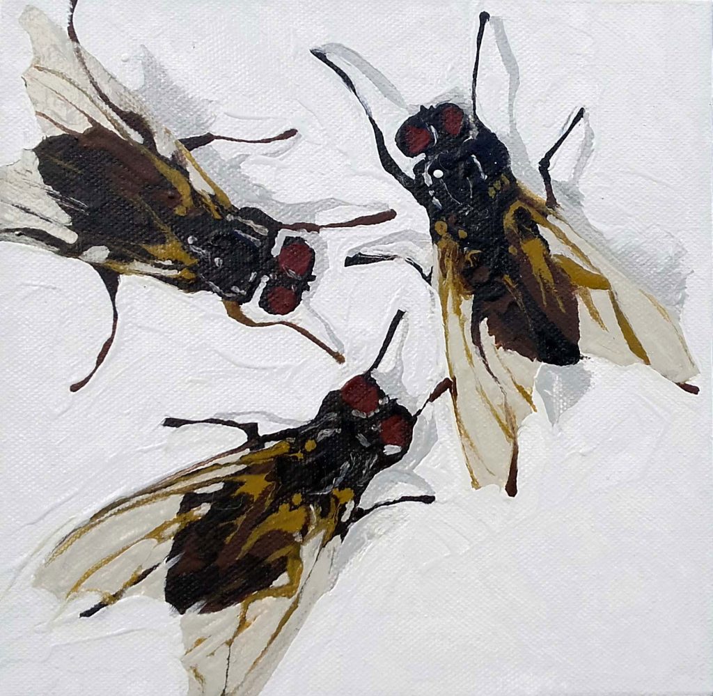 Peinture à l'huile de Peggy Fraquet représentant 3 mouches sur fond blanc.