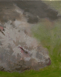 Souris. 2007. 20x30cm. Huile sur toile.